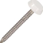 White Plastic Headed Nail Stainless Steel 2.0x40mm (Pack of 25)