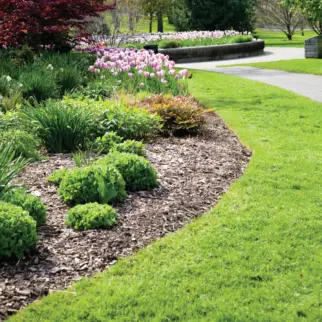 WEED_CONTROL_Image